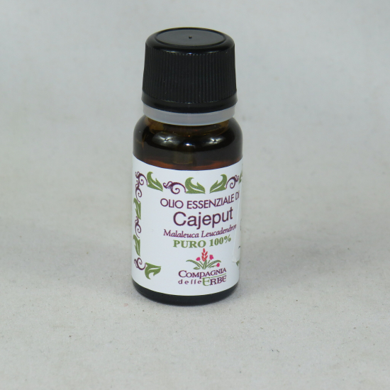 CAJEPUT (Malaleuca Leucadendron ) - Olio essenziale