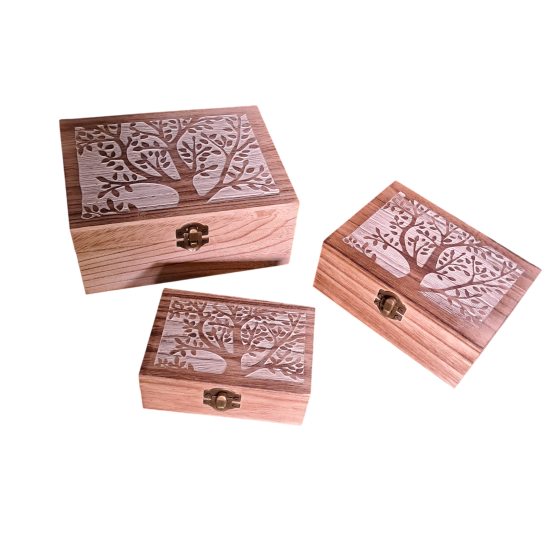 Scatola in legno albero grande