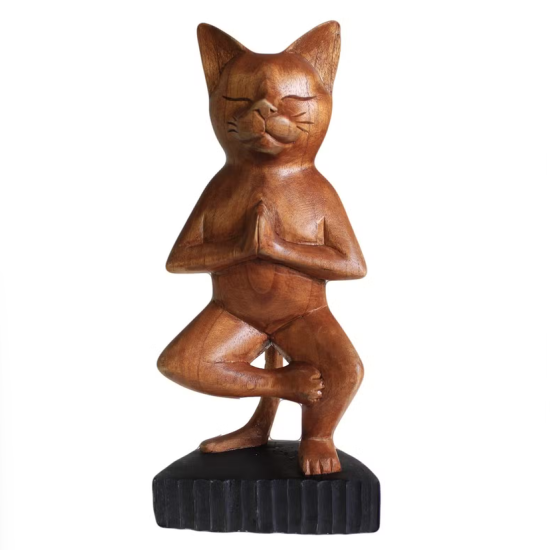 Gatto Yoga su una Gamba