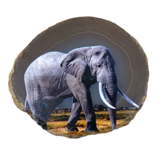 Agata Botswana con elefante