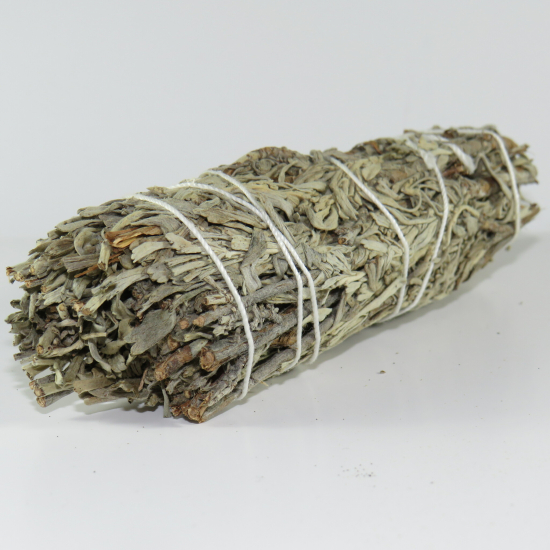 ARTEMISIA (Artemisia vulgaris) 12-14 cm