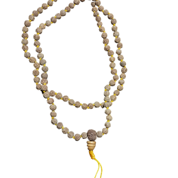 Mala in Rudraksha con nodi