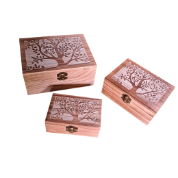Scatola in legno albero grande