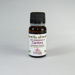 Olio essenziale CANFORA (Cinnamomum Camphora)