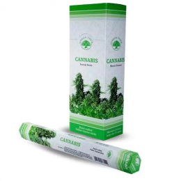 Incensi Green tree - Cannabis