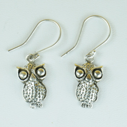 Orecchini in argento