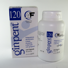 GINPENT 120 capsule